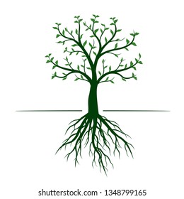 Green Tree with leaves and Rootson white background. Vector Outline Illustration.