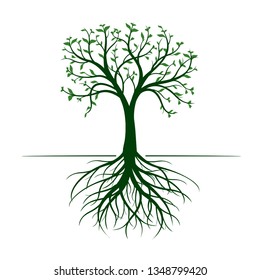 Green Tree with leaves and Rootson white background. Vector Outline Illustration.