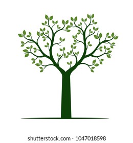 Green Tree with Leaves. Vector Illustration.