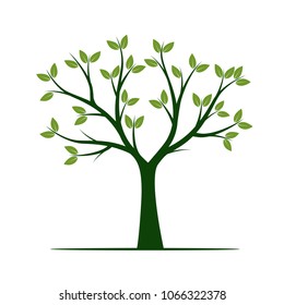 Green Tree Leaves Vector Illustration Stock Vector (Royalty Free ...