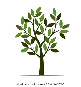 Green Tree with Leaves. Vector Illustration. Plant in garden.