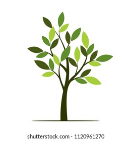 Green Tree with Leaves. Vector Illustration. Plant in garden.