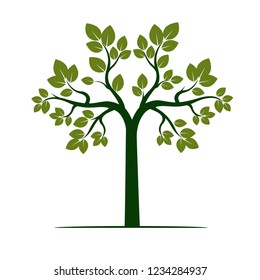 Green Tree Leaves Vector Illustration Plant Stock Vector (Royalty Free ...