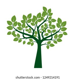 Green Tree with Leaves. Vector Illustration. Plant and Garden.