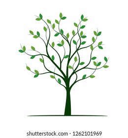 Green Tree with Leaves. Vector Illustration. Plant and Garden.
