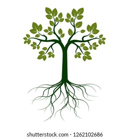 Green Tree with Leaves. Vector Illustration. Plant and Garden.