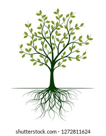 Green Tree with Leaves. Vector Illustration. Plant and Garden.