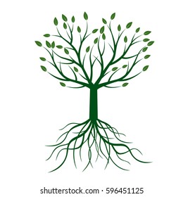 Green Tree with Leaves. Vector Illustration.