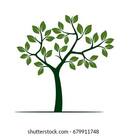 Green Tree with Leaves. Vector Illustration.