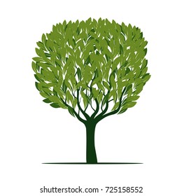 Green Tree with Leaves. Vector Illustration.