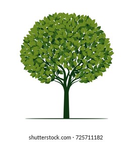 Green Tree with Leaves. Vector Illustration.