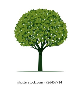Green Tree with Leaves. Vector Illustration.