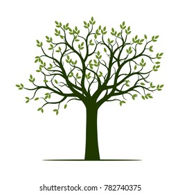 Green Tree with Leaves. Vector Illustration.