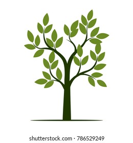 Green Tree with Leaves. Vector Illustration.