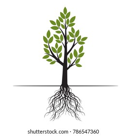 Green Tree with Leaves. Vector Illustration.