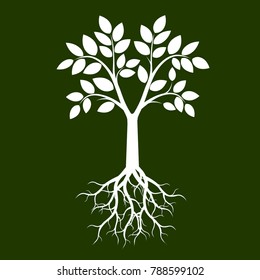 Green Tree with Leaves. Vector Illustration.