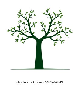 Green Tree with Leaves. Vector outline Illustration. Plant in Garden.