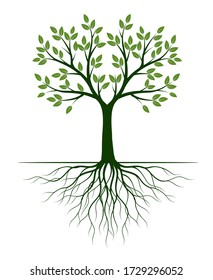 Green Tree with Leaves. Vector outline Illustration. Plant in Garden.