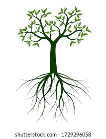 Green Tree with Leaves. Vector outline Illustration. Plant in Garden.