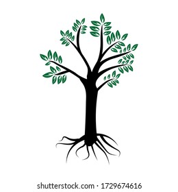 Grüner Baum mit Blättern. Darstellung des Vektors Pflanzen in Garten. ECO grün