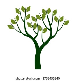 Green Tree with Leaves. Vector outline Illustration. Plant in Garden.