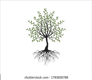 Árbol verde con hojas. Ilustración del contorno del vector. diseño de parque y exterior, hermosa planta en el jardín.