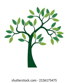 Green Tree with Leaves. Vector outline Illustration.