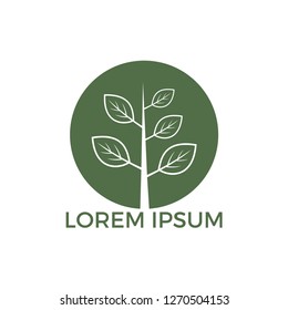 Green tree logo design. Abstract organic element vector design.