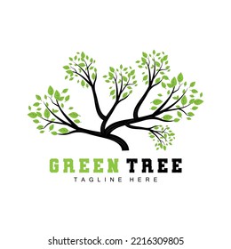 Green Tree Logo Design, Bonsai Tree Logo Illustration, Leaf And Wood Vector