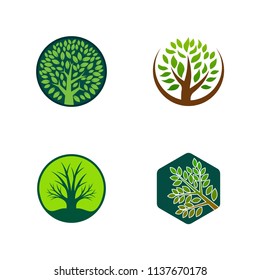 Green tree logo icon. Natural forest template design. Family life community vector illustration