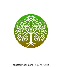 Green Tree Logo Icon Natural Forest Stock Vector (Royalty Free ...