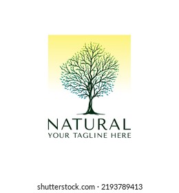 Green Tree logo. modern green garden logo design template