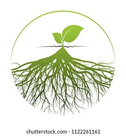 green tree logo on human hand with root. nature icon and ecology concept, vector illustration