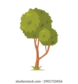 Green Tree with Lush Foliage as Park Zone Element Vector Illustration