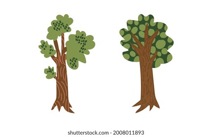 Green Tree with Lush Foliage as Park Zone Element Vector Set