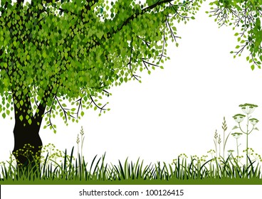 Green tree and meadow on white background with space for your text. Full scalable vector graphic