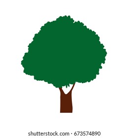 green tree natural foliage forest icon