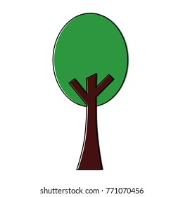 green tree nature forest plant image