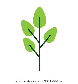 green tree nature icon isolated