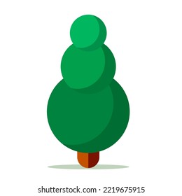 The green tree is not decorated with lights or Christmas decorations.