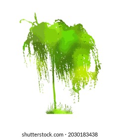 green tree object. Mixed media. weeping willow, Vector illustration