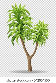 Árbol verde en ilustración de fondo transparente