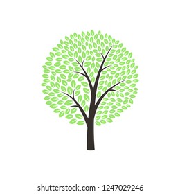 Green Tree on white background. Vector illustration.