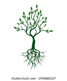 Árbol verde sobre fondo blanco