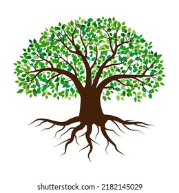 green tree on white background. Olive tree logo. Vector illustration. stock image.