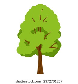 Green tree on white background