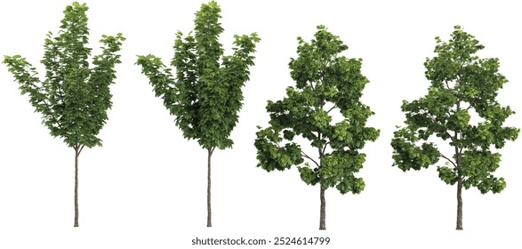 Green tree on white background 