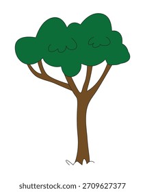 Árbol verde sobre un fondo blanco