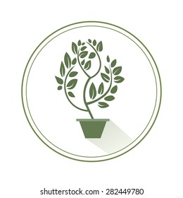Green tree on a white background, vector