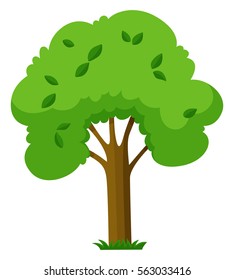 Árbol verde en ilustración de fondo blanco